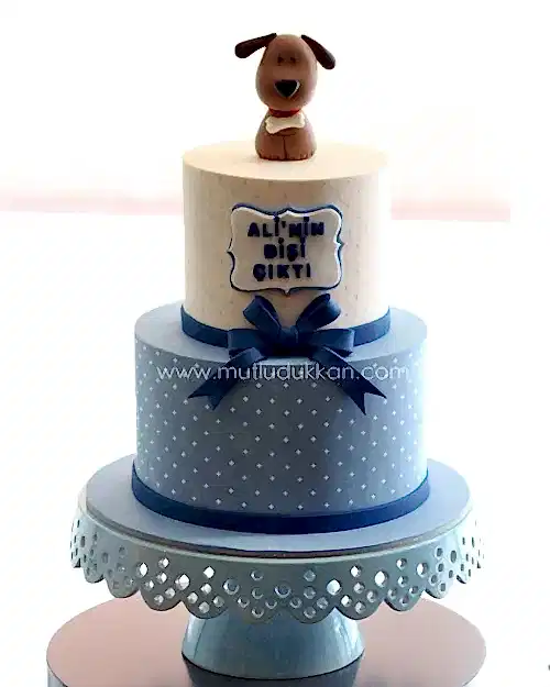 köpek pasta – puantiye ve fiyonklu diş pastası