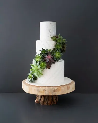 düğün pastası – sukulent ve yesil bitki süslemeli pasta