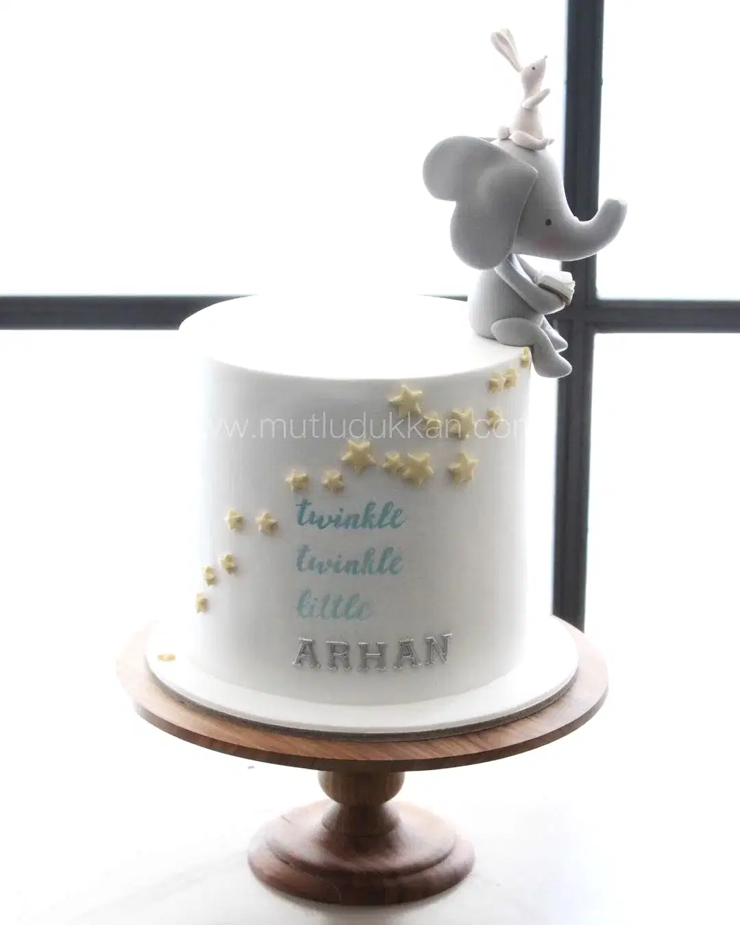 fil ve tavşan pasta – sade erkek çocuk doğum günü pastası