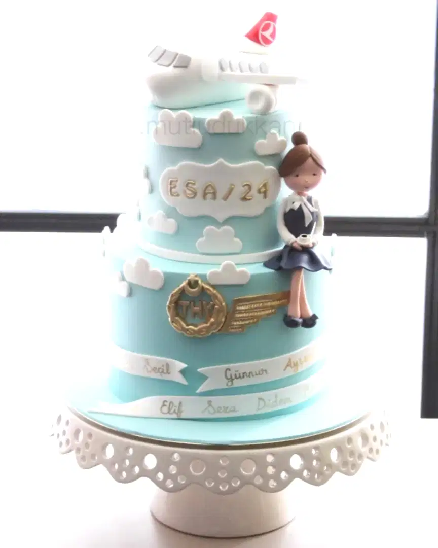 hostes pasta – thy ve uçak temalı mezuniyet pastası