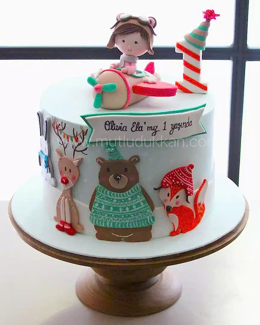 kar hayvanları pasta – uçak temalı 1 yaş pastası