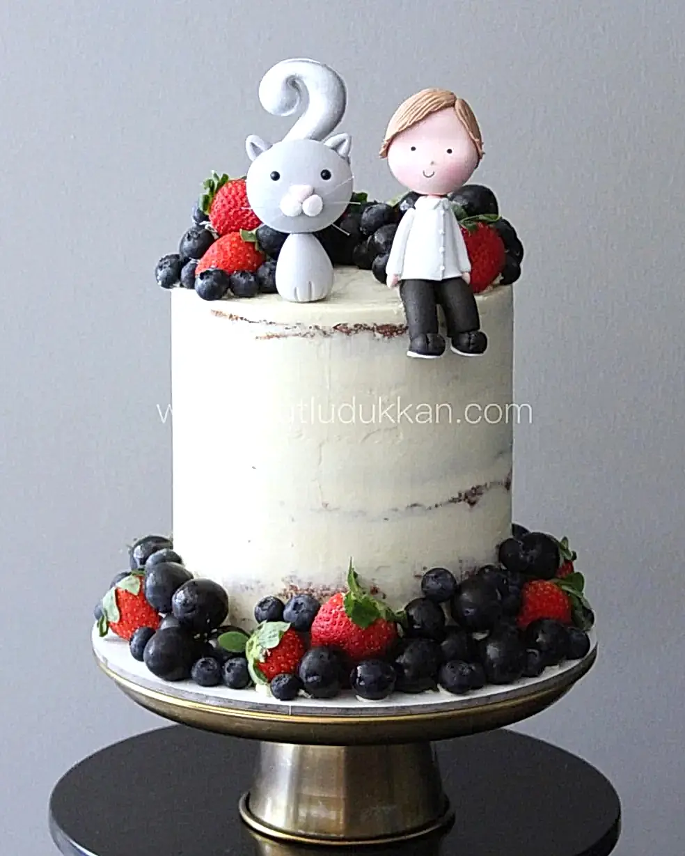 kedi pasta – kırmızı meyveli sade erkek çocuk pastası