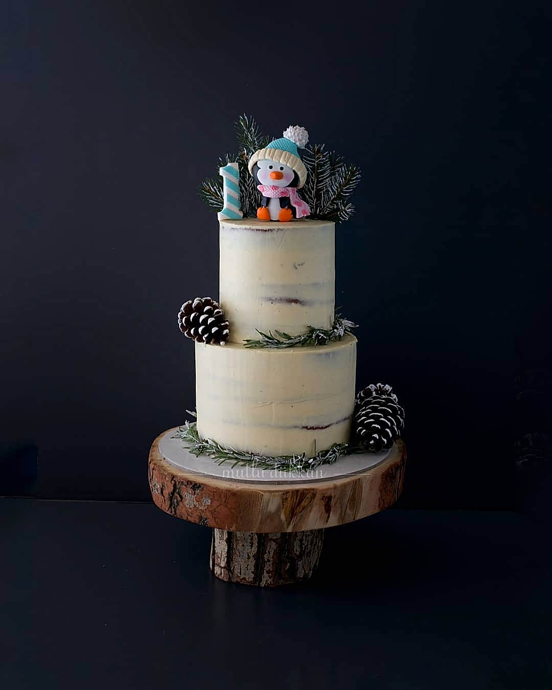 kış doğum pasta – penguen figürlü 1 yaş erkek pastası (naked cake)