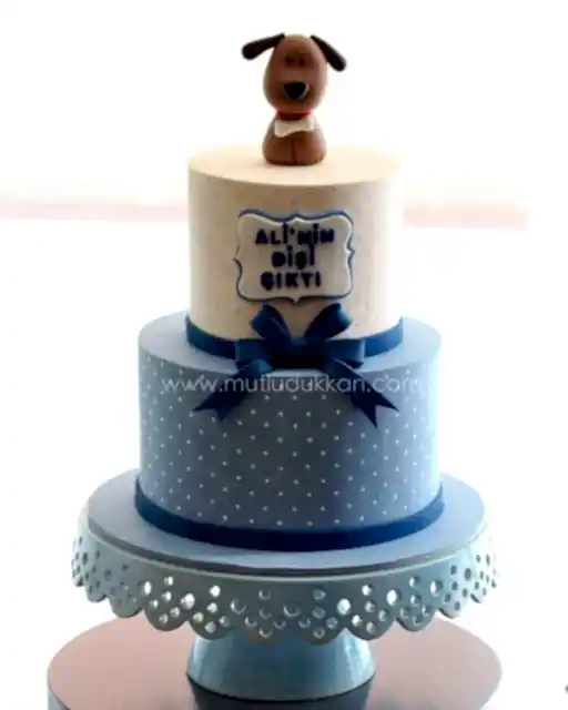 köpek pasta – puantiye ve fiyonklu diş pastası