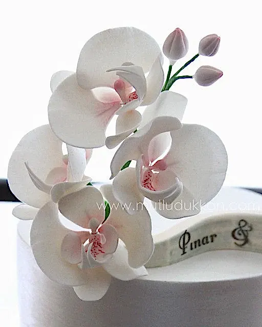 söz pastası – dantel ve beyaz orkide süslemeli pasta